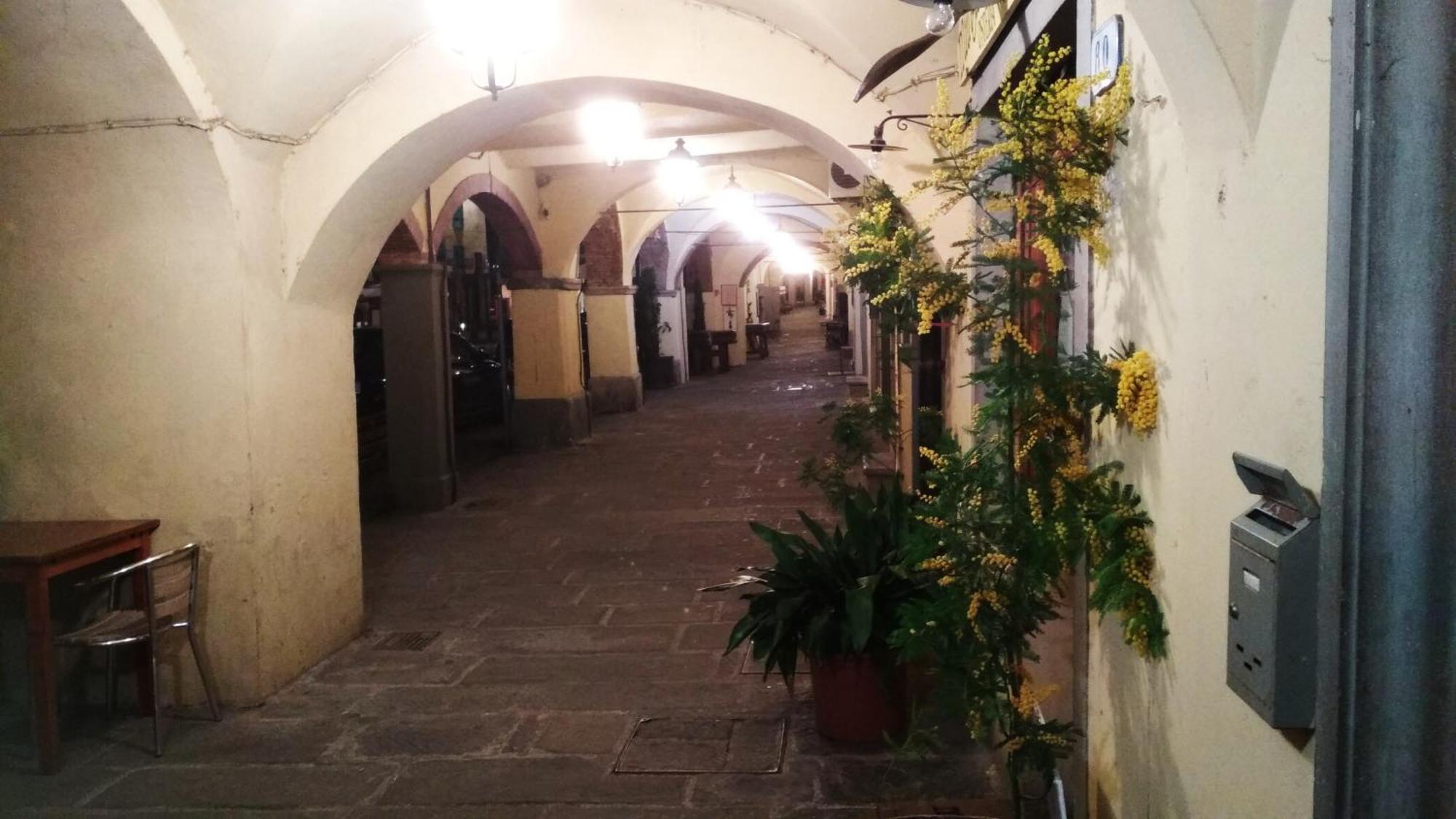 基安蒂格雷夫Il Nido Nel Chianti公寓 外观 照片
